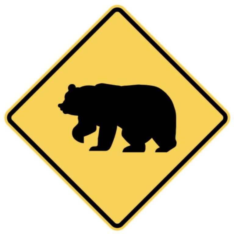 Bear crossing road sign